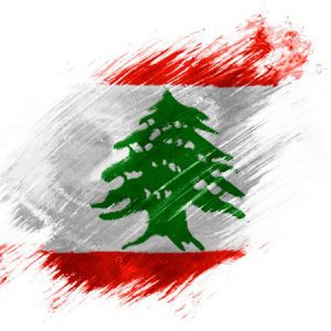 Call for Action and in Support of Lebanon